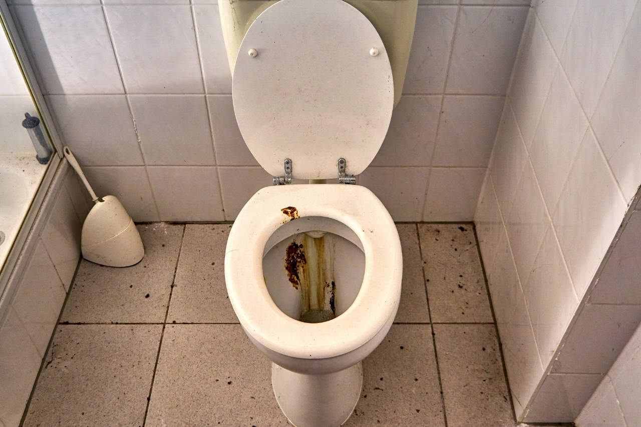 How To Remove Poop Stains From Toilet - homedude