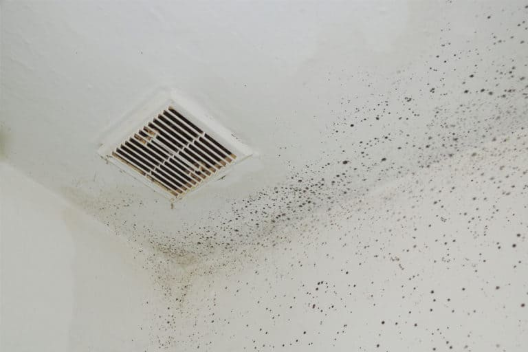 How Can I Tell If There Is Mold In My Air Ducts? homedude